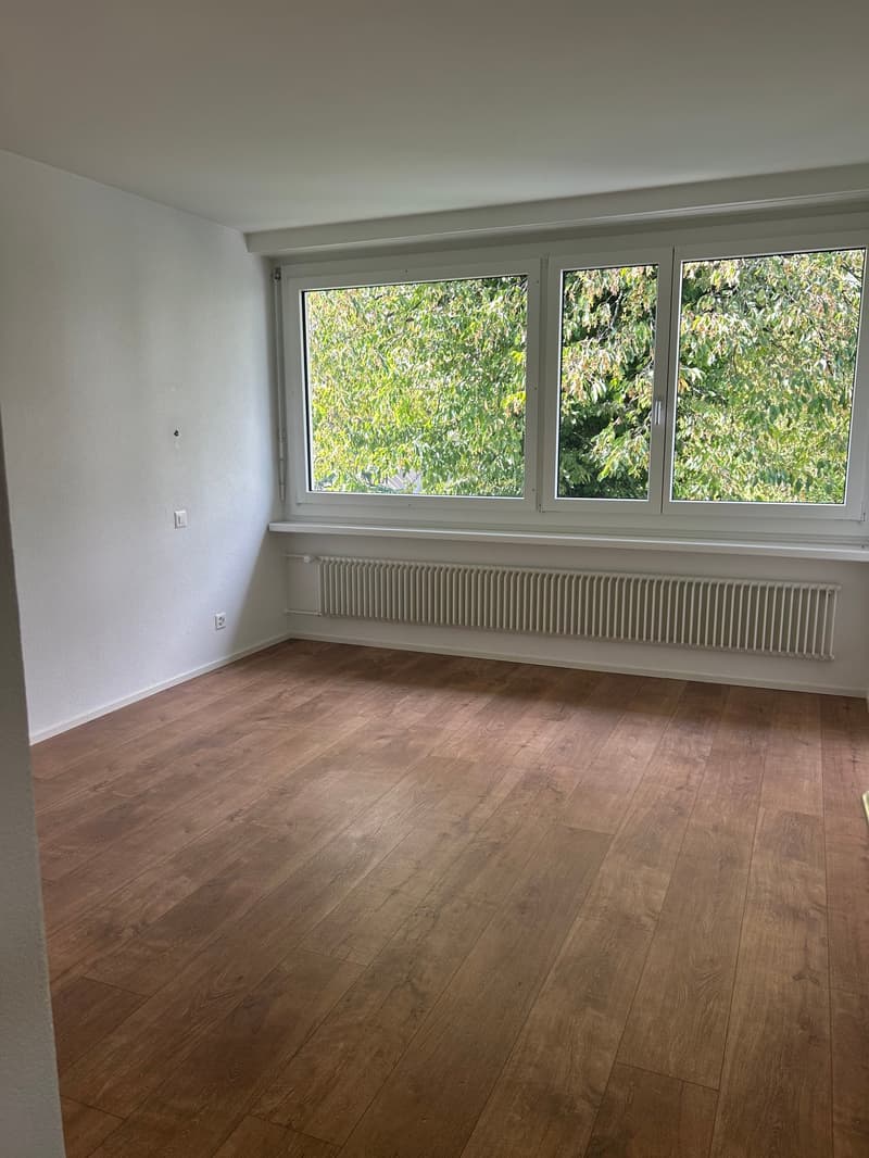 Exklusive 6.5 Zimmer Duplex-Wohnung zu vermieten (4)
