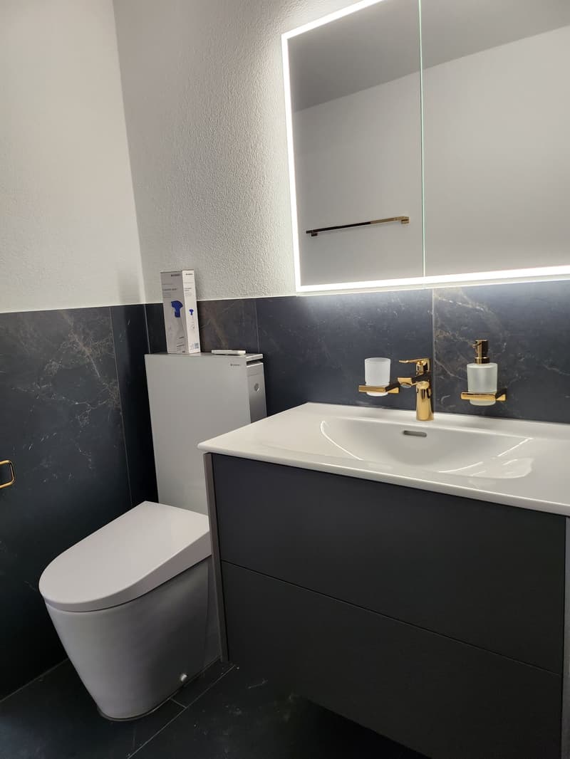 Appartamento duplex esclusivo di 6,5 locali in affitto (7)