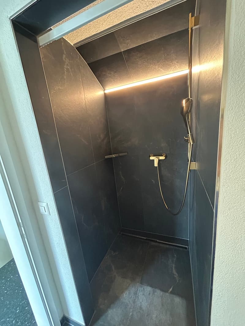 Exklusive 6.5 Zimmer Duplex-Wohnung zu vermieten (10)