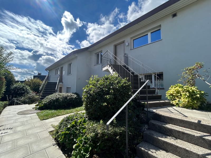 Exklusive 6.5 Zimmer Duplex-Wohnung zu vermieten (14)