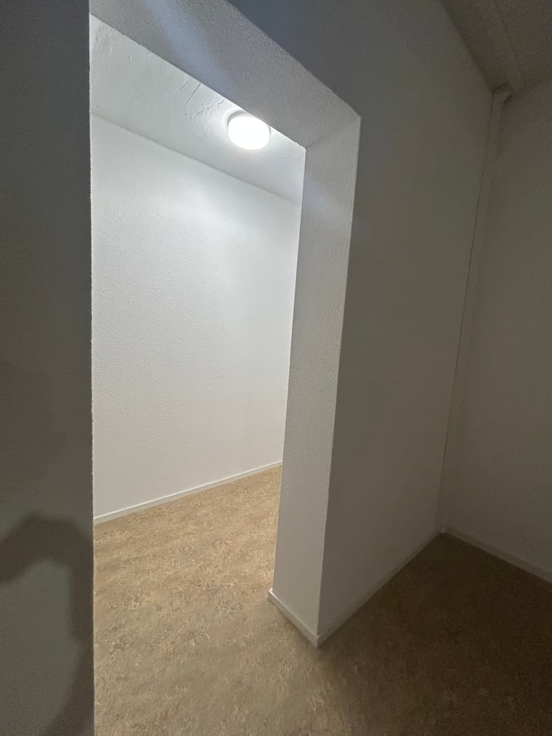 Helle 1,5-Zimmer-Loftwohnung mit grosszügiger Zusatzfläche – Erstbezug (6)