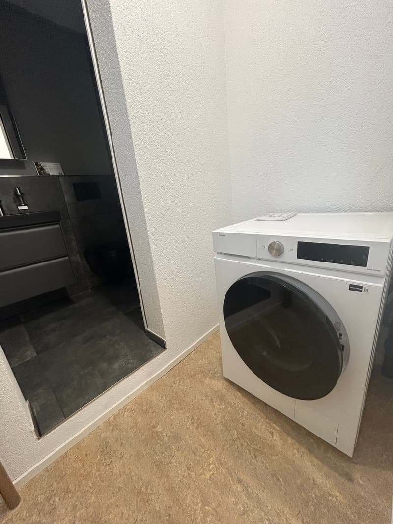 Helle 1,5-Zimmer-Loftwohnung mit grosszügiger Zusatzfläche – Erstbezug (7)
