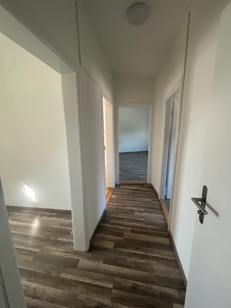 Frisch sanierte 2 Zimmer Wohnung zu vermieten (11)