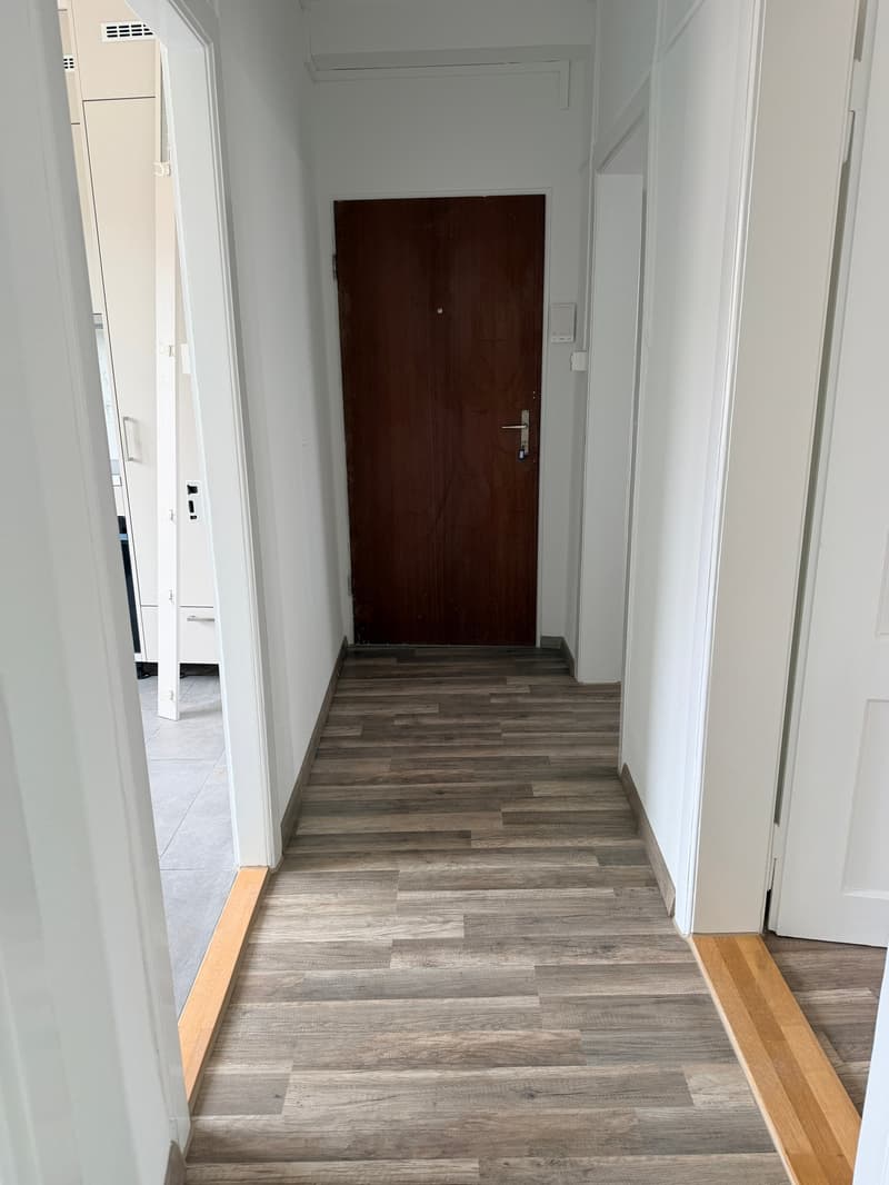 Frisch sanierte 2 Zimmer Wohnung zu vermieten (5)