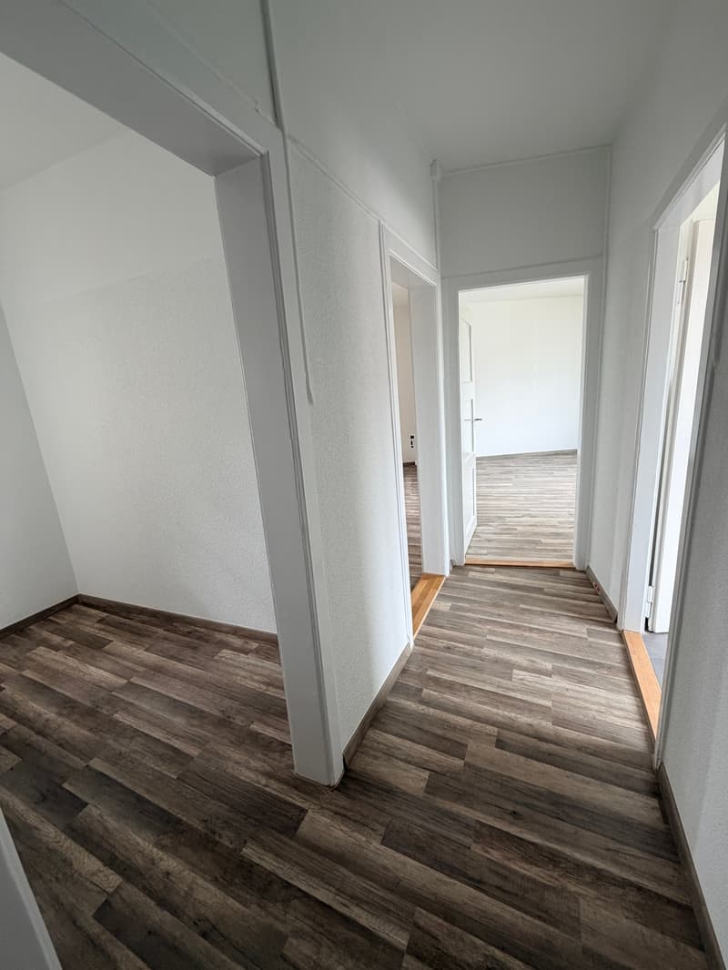 Frisch sanierte 2 Zimmer Wohnung zu vermieten (6)