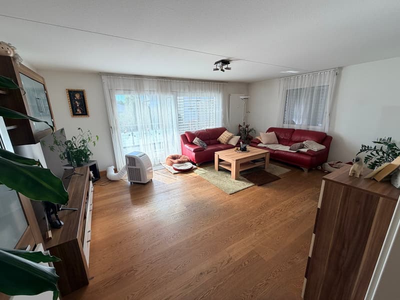Geräumige 5-Zimmer-Maisonette-Wohnung in Allschwil (2)