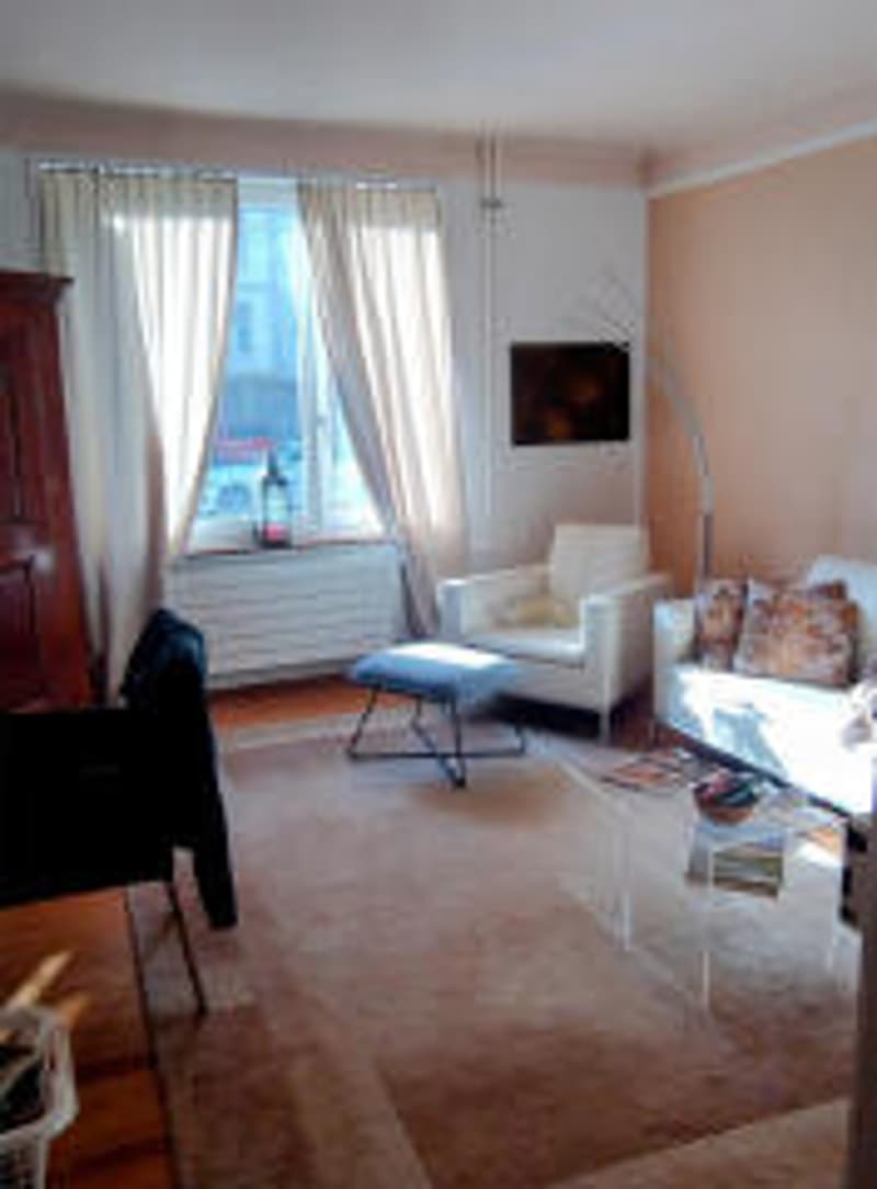 Ampio appartamento di 2,5 locali (6)