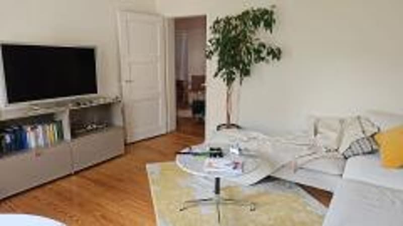 Ampio appartamento di 2,5 locali (9)