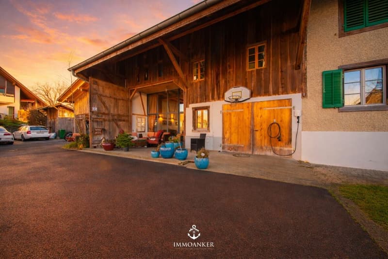 Maison mitoyenne de 7 pièces charmante avec 220 m² d'espace de vie à Rickenbach ZH (2)