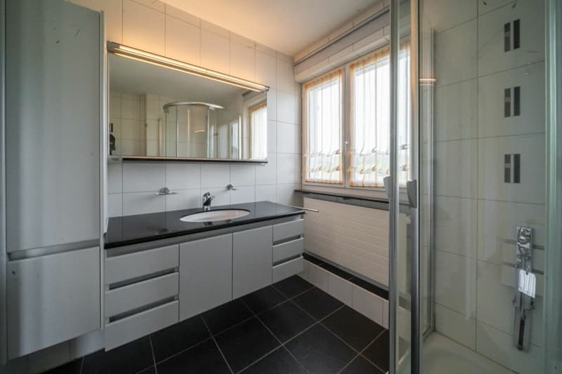 Charmantes 7-Zimmer-Einfamilienhaus mit Garten, Terrasse und Einliegerpotenzial in Uzwil (9)