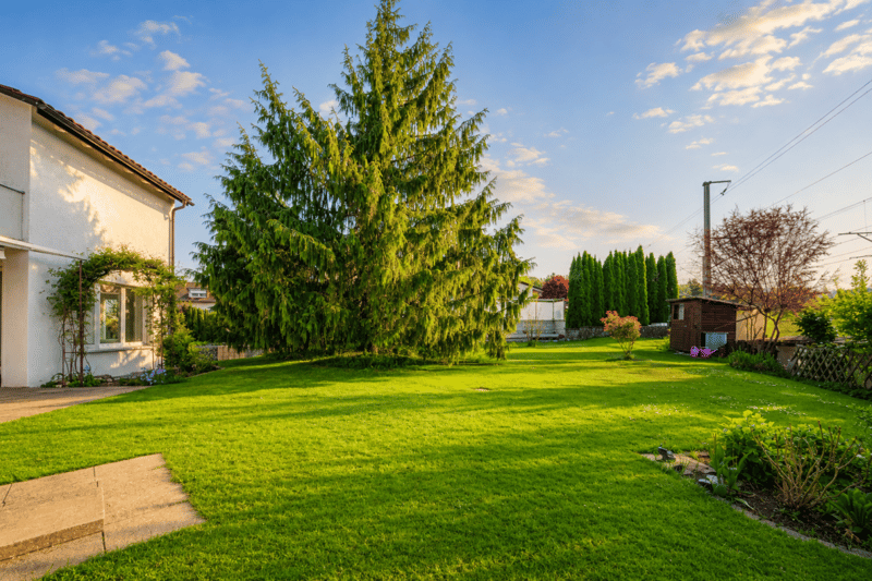 Charming 7-room single-family house with garden, terrace, and potential for an annex in Uzwil (7)