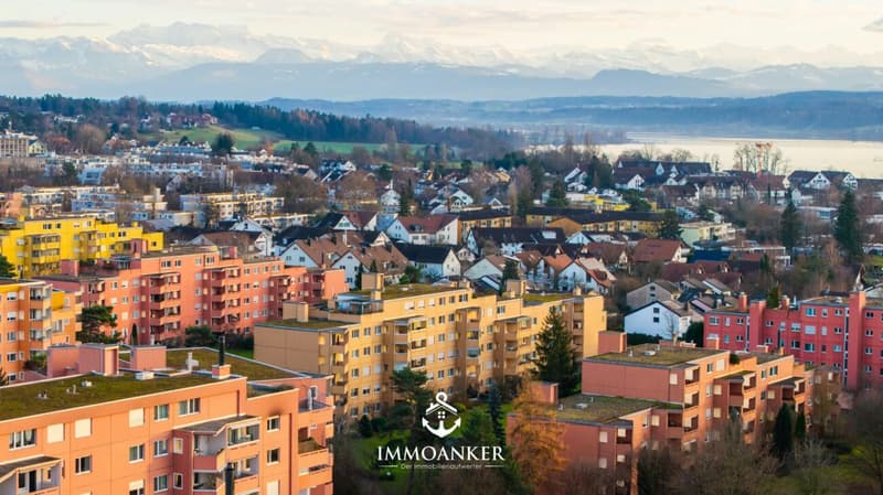 Quattro stanze. Un lago. Innumerevoli momenti di felicità - appartamento di 4 stanze a Greifensee (1)