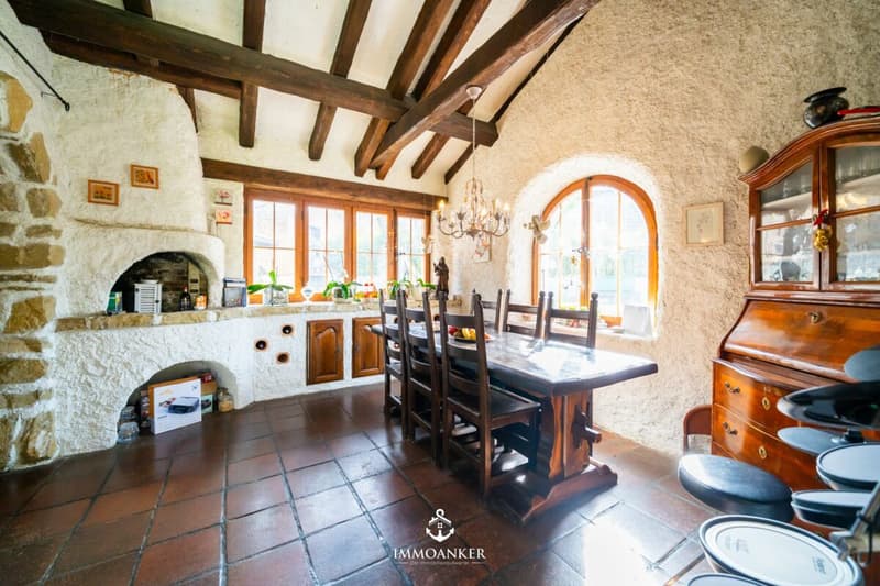 Spacious single-family house with pool, spaciousness and plenty of privacy in Studen (8)