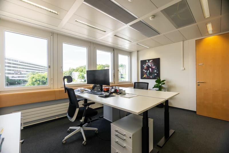 Desired Subtenant Dream Office: Top Location (8)