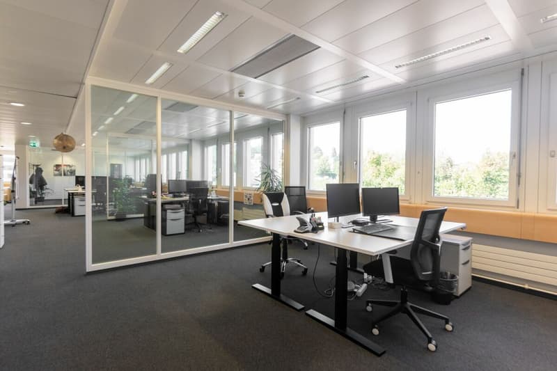 Desired Subtenant Dream Office: Top Location (4)