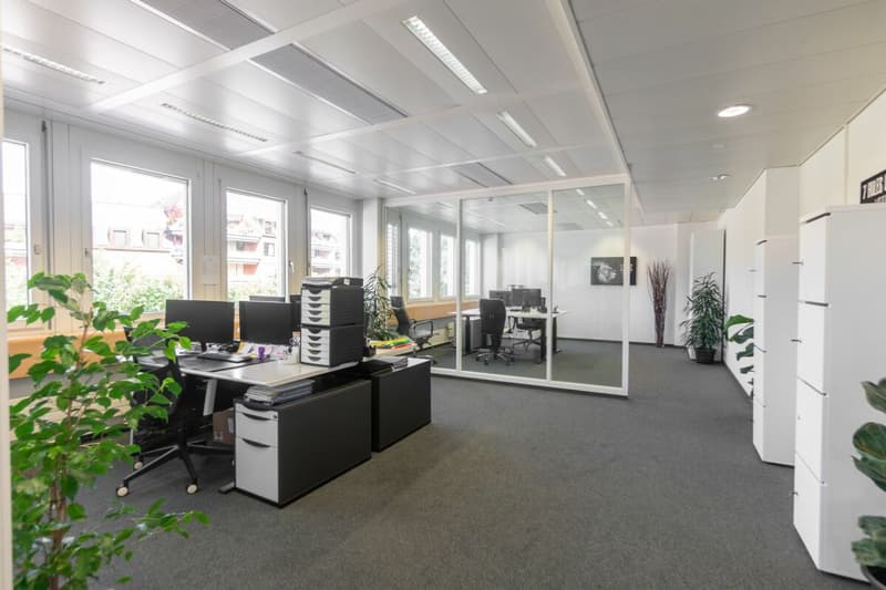 Desired Subtenant Dream Office: Top Location (1)