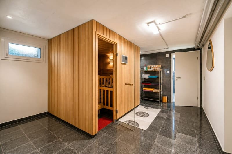 Luxuriöses Wohnen direkt am Rhein - exklusives 6.5-Zimmer-Einfamilienhaus mit traumhafter Aussicht (13)