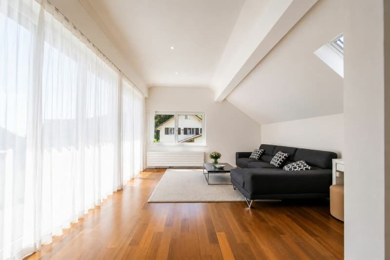 Luxuriöses Wohnen direkt am Rhein - exklusives 6.5-Zimmer-Einfamilienhaus mit traumhafter Aussicht (3)