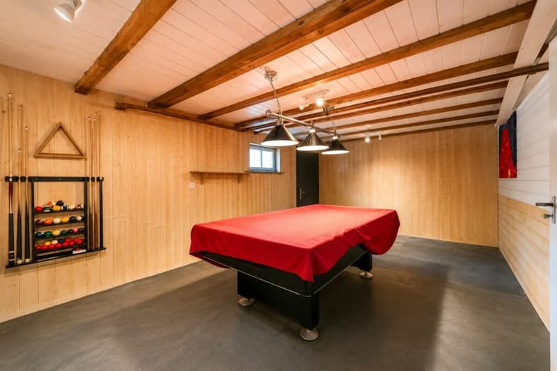 Ein Zuhause am Rhein mit Naturpool und Ausbaupotenzial - exklusives 8.5-Zimmer-Einfamilienhaus (13)