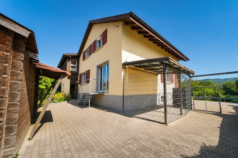 Ein Zuhause am Rhein mit Naturpool und Ausbaupotenzial - exklusives 8.5-Zimmer-Einfamilienhaus (21)