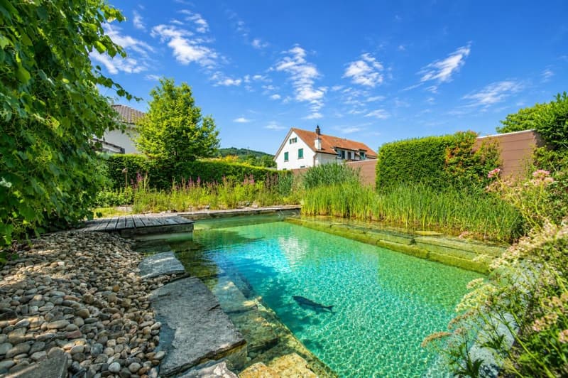 Ein Zuhause am Rhein mit Naturpool und Ausbaupotenzial - exklusives 8.5-Zimmer-Einfamilienhaus (16)