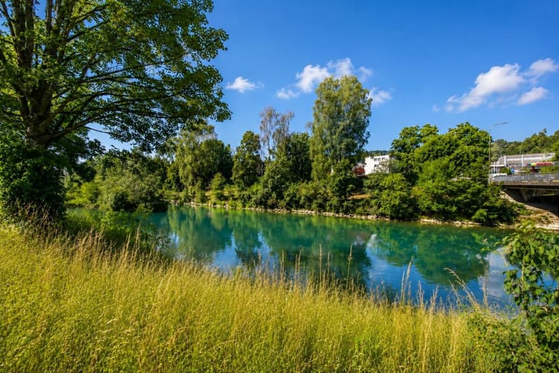 Living on the Töss - spacious 4.5-room duplex apartment with garden and privacy (24)