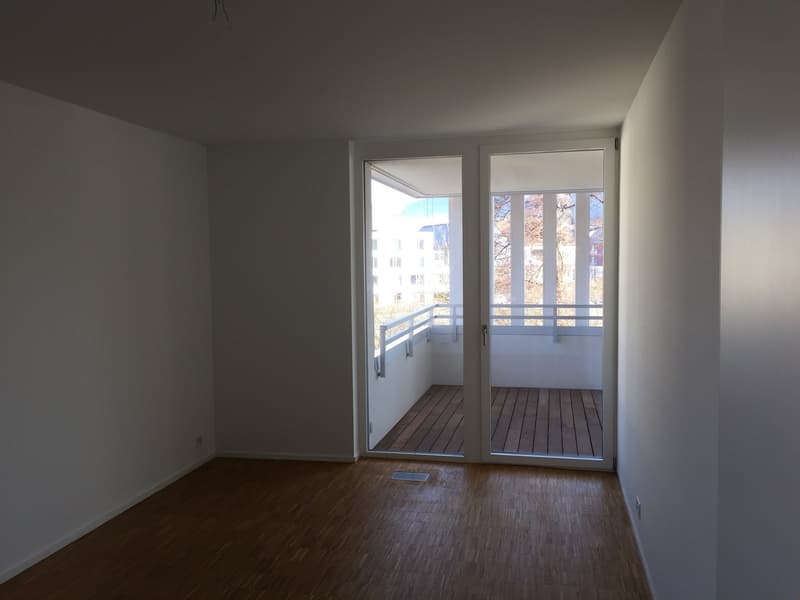 empty room, wooden floor, white walls, glass sliding doors, balcony