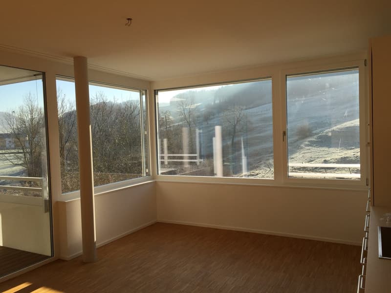 large windows, wooden floor, balcony, scenic view