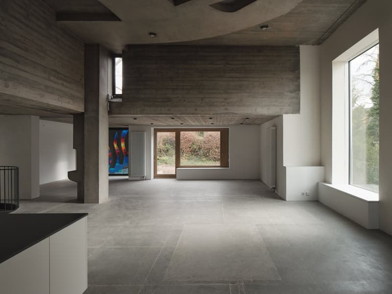 Domino Riehen ¦ Loft unico ¦ Prima locazione (4)