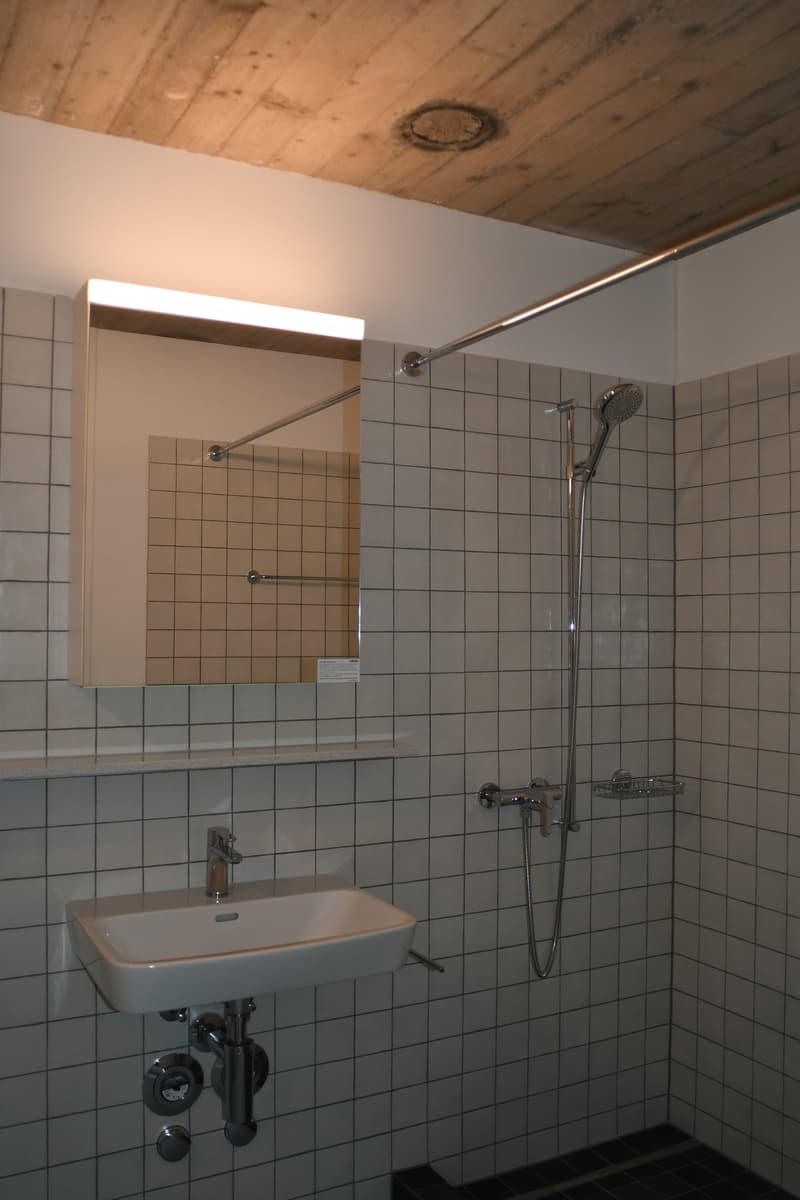 Domino Riehen ¦ Loft unico ¦ Prima locazione (6)