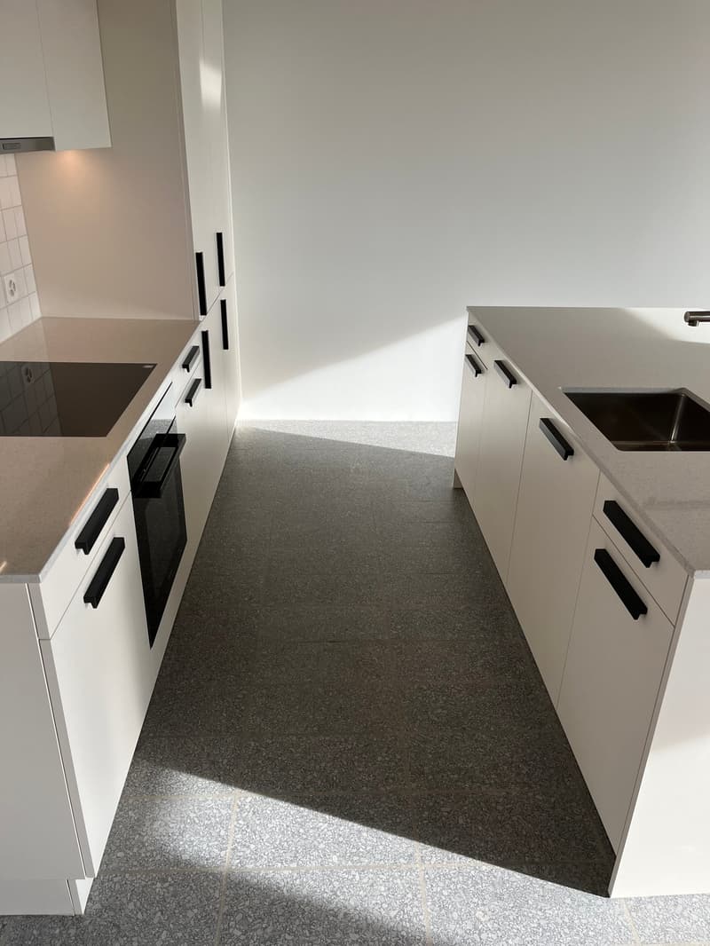 Appartement de pavillon unique dans Domino avec accès séparé ¦ Première location (8)