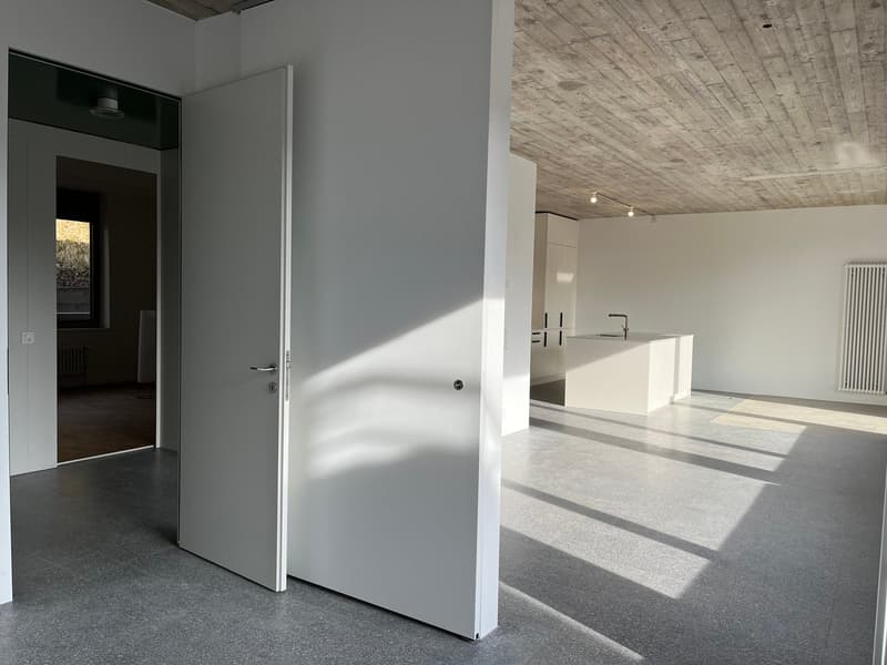 Appartement de pavillon unique dans Domino avec accès séparé ¦ Première location (6)