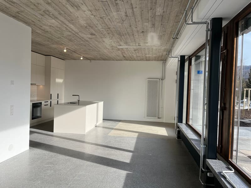 Appartement de pavillon unique dans Domino avec accès séparé ¦ Première location (1)