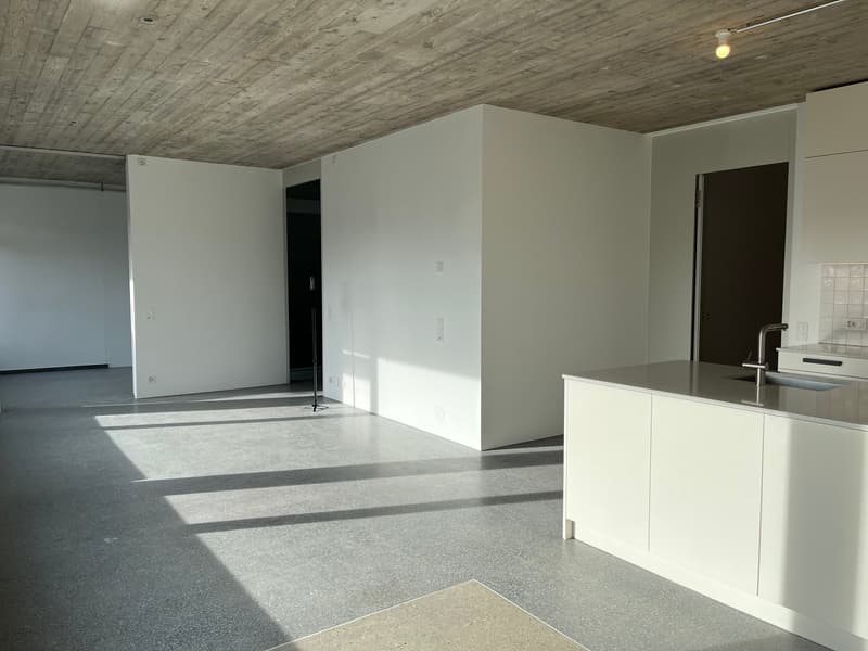 Appartement de pavillon unique dans Domino avec accès séparé ¦ Première location (7)