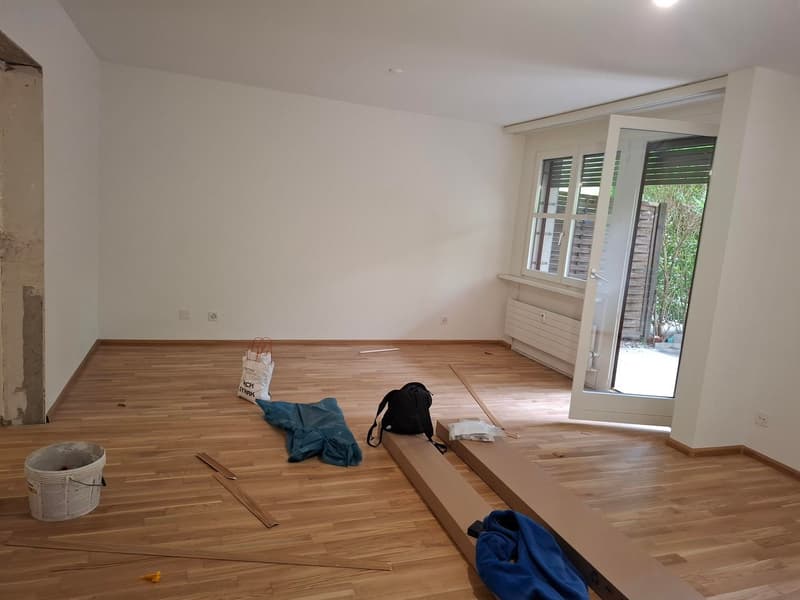 Delizioso appartamento di 1,5 locali a Basilea con posto giardino (5)