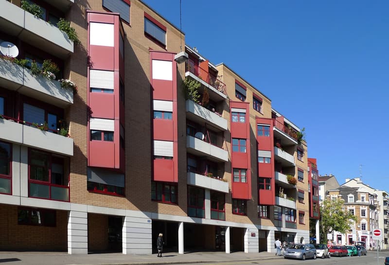 Delizioso appartamento di 1,5 locali a Basilea con posto giardino (1)