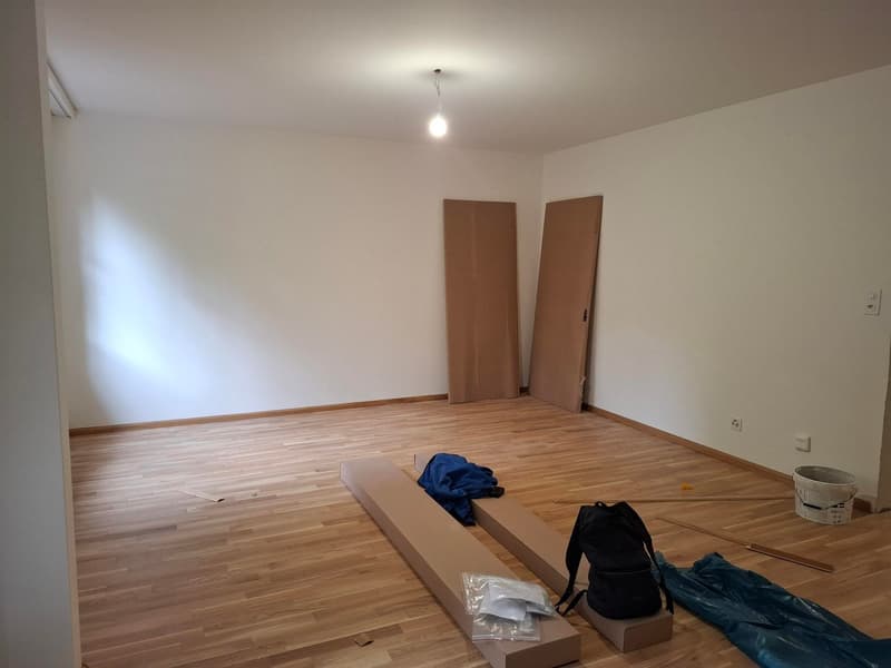Delizioso appartamento di 1,5 locali a Basilea con posto giardino (3)