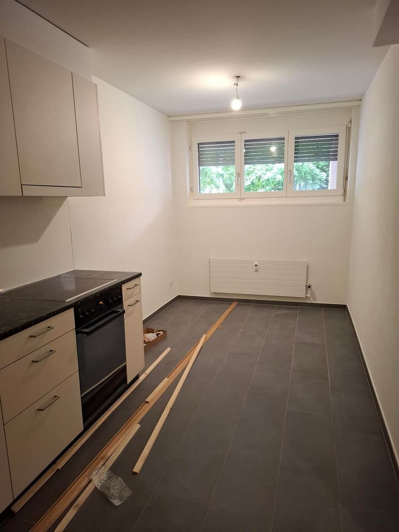 Delizioso appartamento di 1,5 locali a Basilea con posto giardino (7)