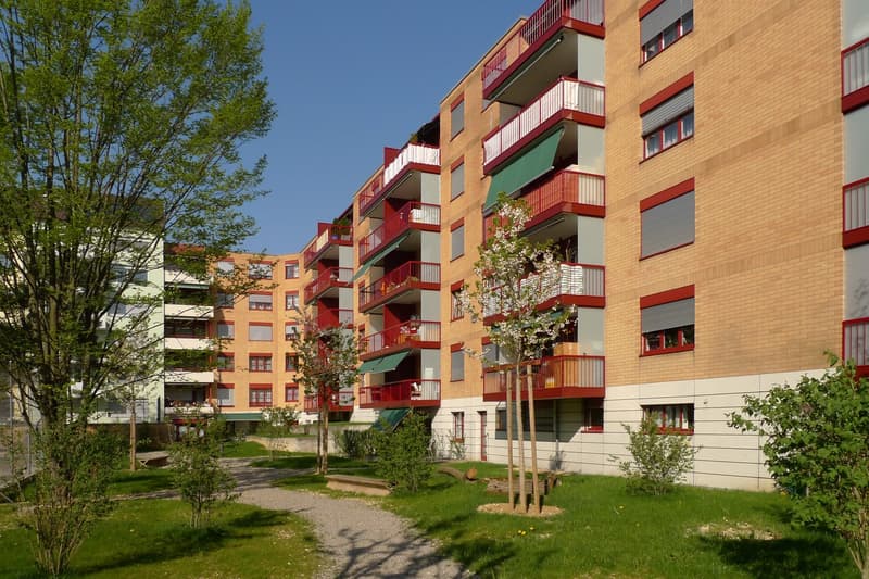 Delizioso appartamento di 1,5 locali a Basilea con posto giardino (2)