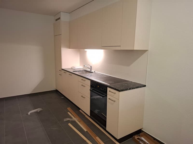 Delizioso appartamento di 1,5 locali a Basilea con posto giardino (8)