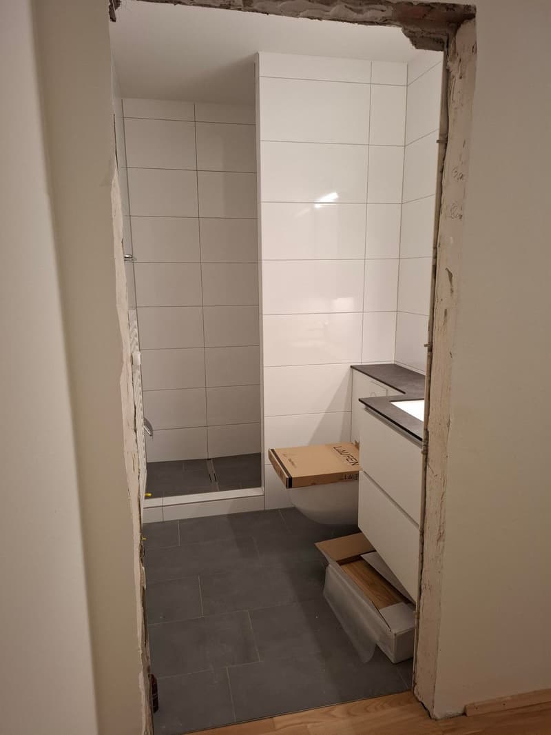 Delizioso appartamento di 1,5 locali a Basilea con posto giardino (6)