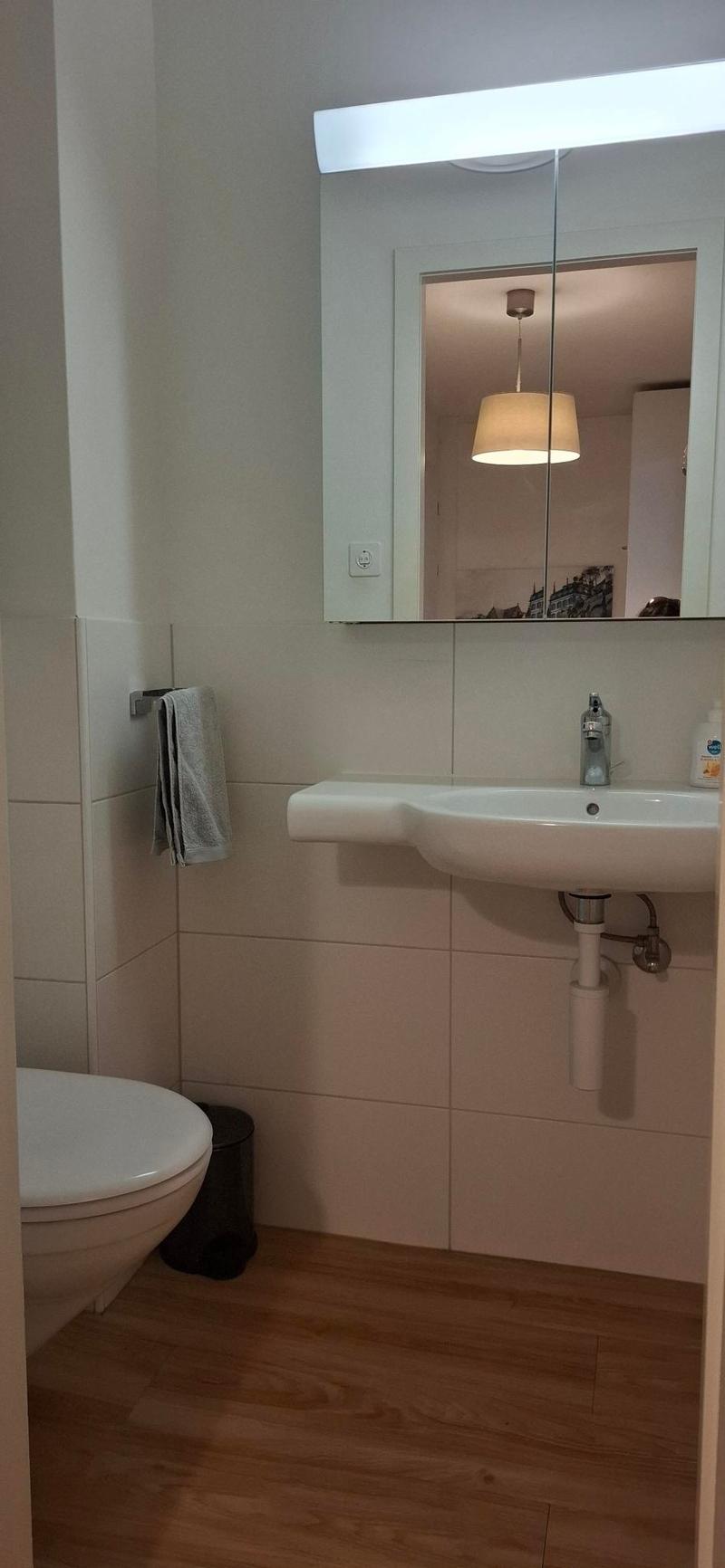 Delizioso appartamento arredato 2 locali con balcone (7)
