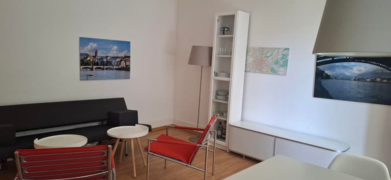 Delizioso appartamento arredato 2 locali con balcone (2)