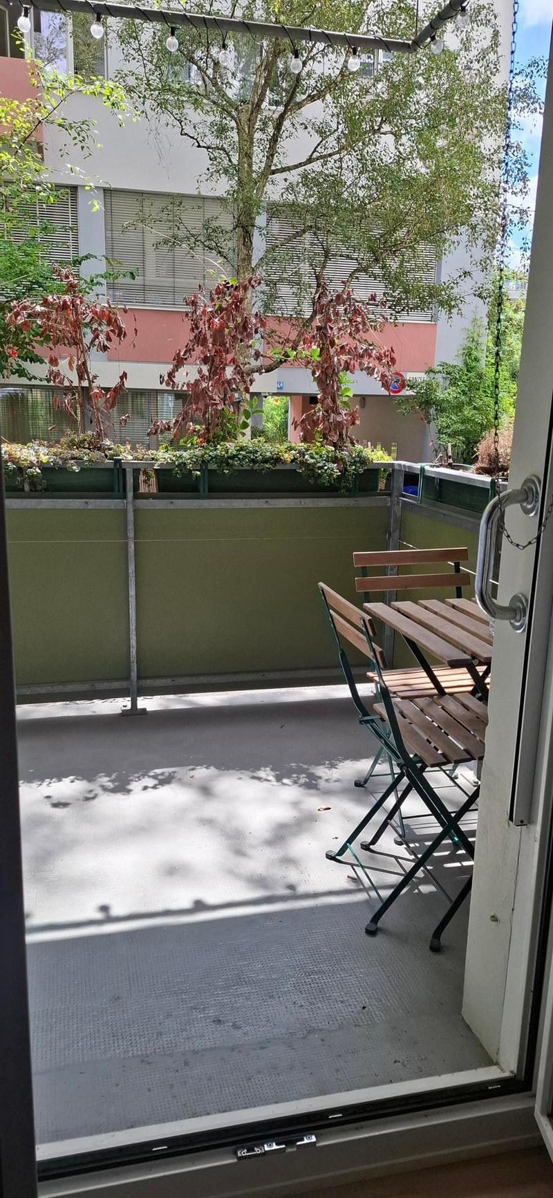 Delizioso appartamento arredato 2 locali con balcone (4)