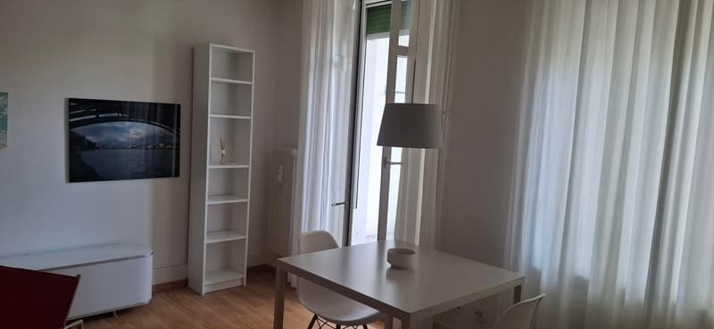 Delizioso appartamento arredato 2 locali con balcone (3)