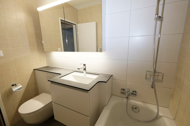 Kinderfreundliche 4.5-Zimmerwwohnung mit 2 Terrassen im Gundeli (5)
