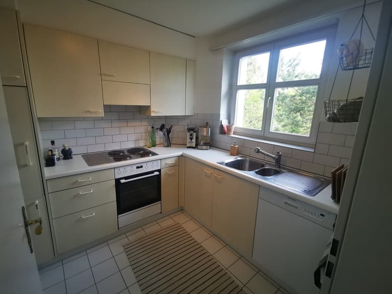 Stylish 3-room apartment on a quiet street (3)