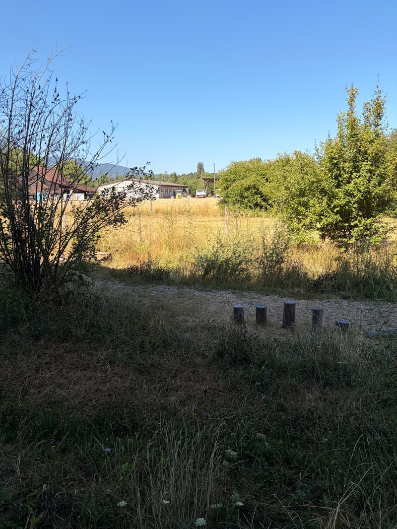 Apartment W16 ¦ Temporary Home Ownership (WAZ) ¦ Summer Promotion until 15.09.2026 (15)