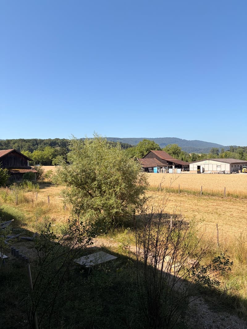 Apartment W18 ¦ Temporary Home Ownership (WAZ) ¦ Summer Promotion until 15.09.2026 (16)