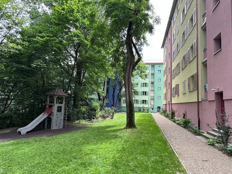 Living in the trendy St. Johann quarter in Basel (7)
